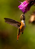 Fly-by