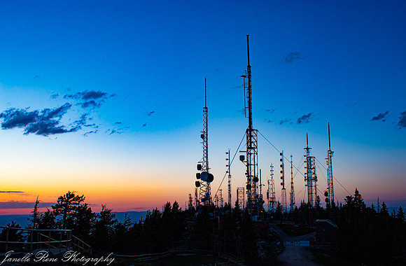 IMG_8566-2 Website Images